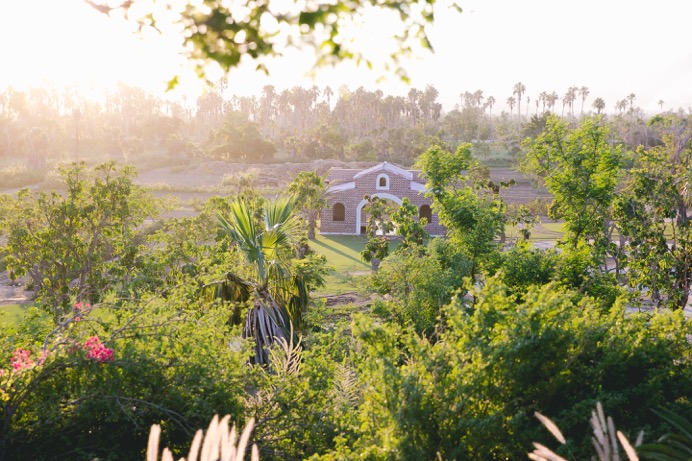 Mango Grove at Flora Farms